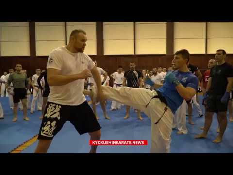 Semmy Schilt: Mae Geri + counterattack Ushiro Geri