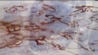 9-Dead Can Dance -  Ulysses  - cover (piano+video)