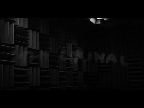 Video thumbnail for The Liminal