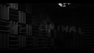 Musik-Video-Miniaturansicht zu The Liminal Songtext von Chelsea Wolfe