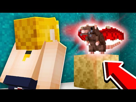 I CREATED the IMMORTAL RAT with 1 MILLION DAMAGE! - StonksCraft #33