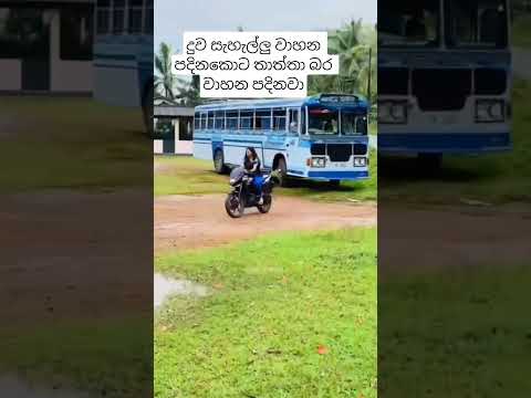 කොහොමද ඒ ආදරේ😉😉♥️#business #foryou #viral #trending #automobile