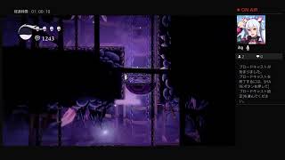 ホロウナイト　02