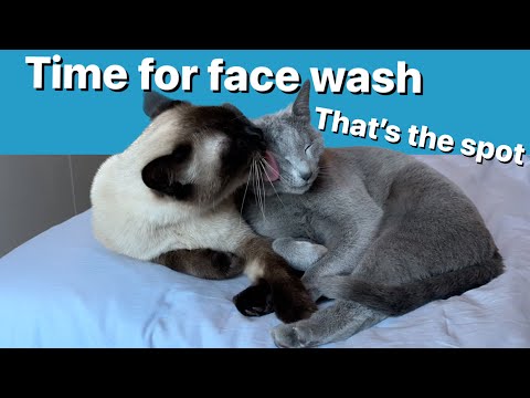 Nisse and Ekaterina relaxing - Nisse gives Ekaterina a bath