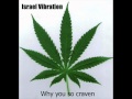 Israel Vibration - Why You So Craven