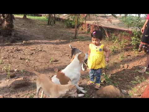 Anshika Shouting on Dogs 🐶