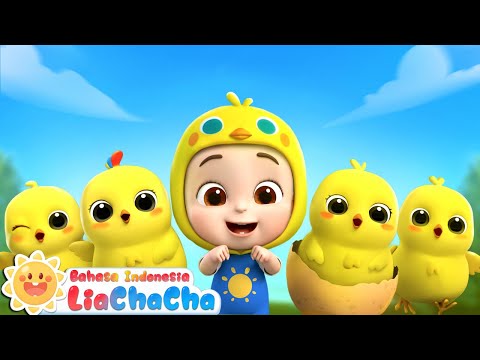 Anak Ayam yang Imut 🐣| Lagu Hewan Lucu | Lagu Ayam | Lagu Anak | LiaChaCha Bahasa Indonesia