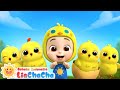 Anak Ayam Yang Imut Lagu Hewan Lucu Lagu Ayam Lagu Anak LiaChaCha Bahasa Indonesia