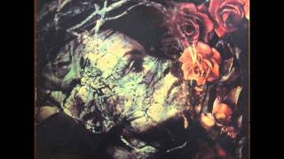 Danielle Dax   Ostrich