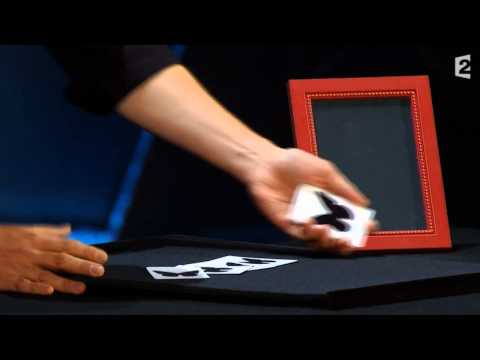 Boris Wild - Butterfly act