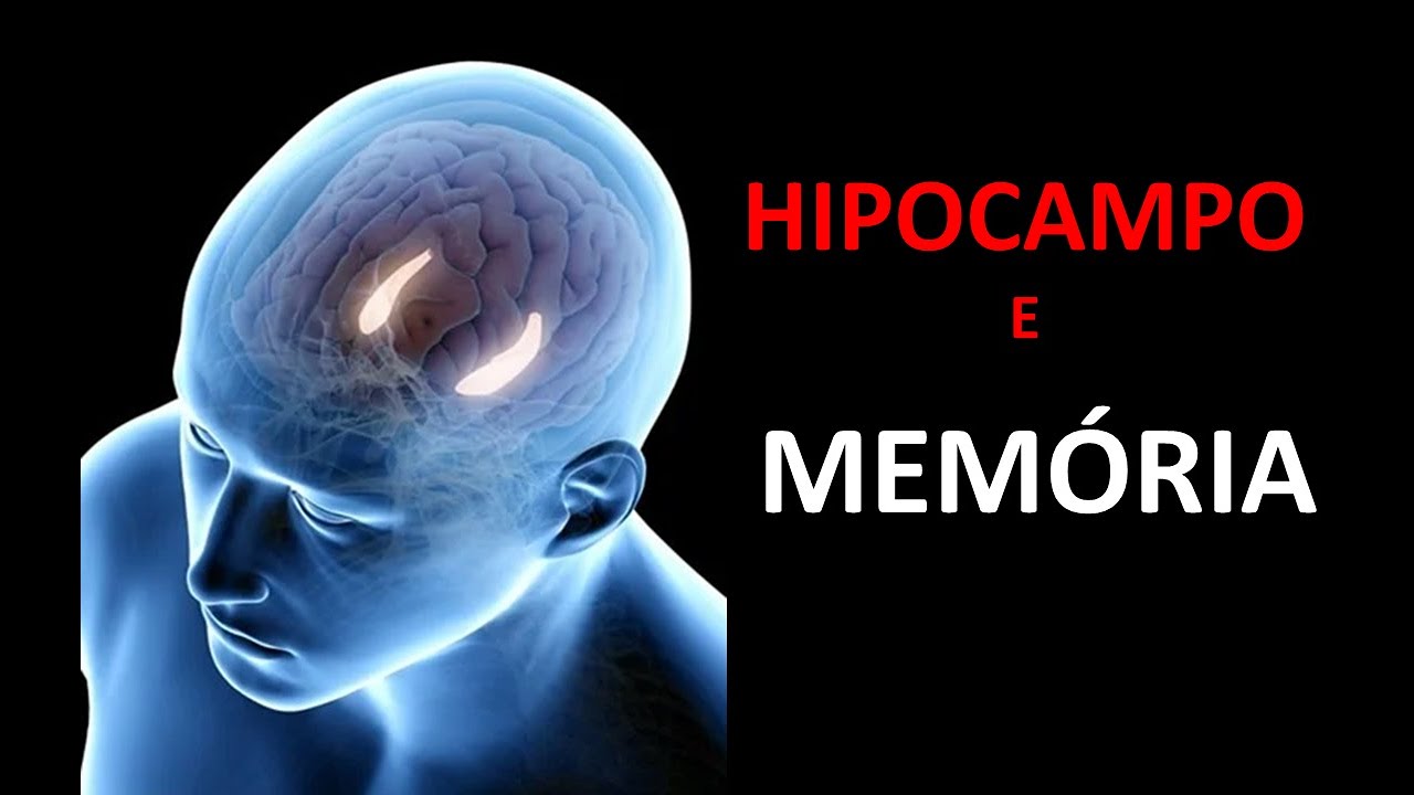 FUNÇÕES DO HIPOCAMPO: MEMÓRIA EPISÓDICA | Neurodrops #1