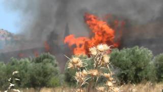 preview picture of video 'Raging brush fire getting close to olive trees'