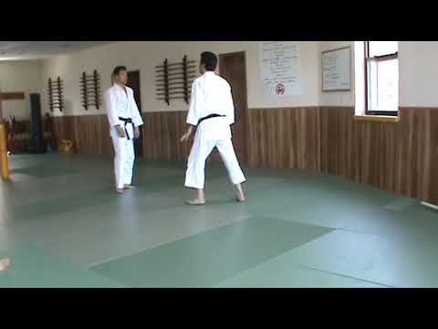 Practical Aikido Seminar 6 29 2019 Summary