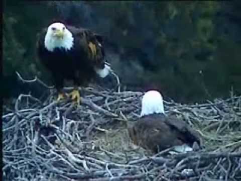 PH - 3/30/10 Highlights - Blowing in the Wind