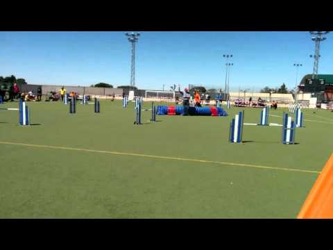 Magic - Trofeo CAM JUMPING