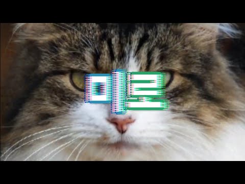 미로 (전기뱀장어 cover)