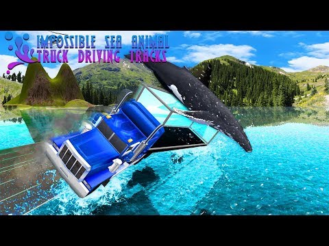Impossible Truck Tracks: Sea Animals Transport Video