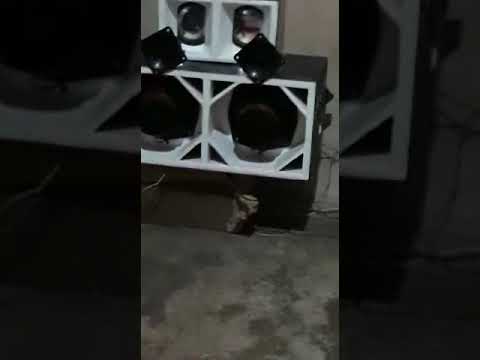 🔥Tamanho não e documento 😤✅🔊🔊