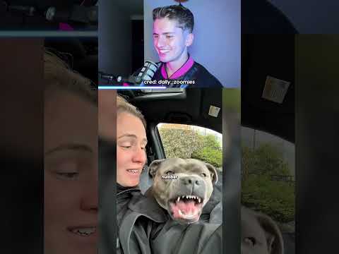 Never Say Your Dog’s Favorite Word