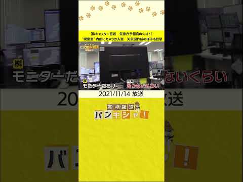ドイツのオンライン天気:「2023年の春にはそんなことは起こらない」と専門家が嘆く