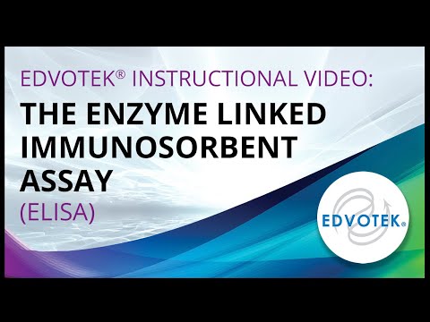 The Enzyme Linked Immunosorbent Assay (ELISA)