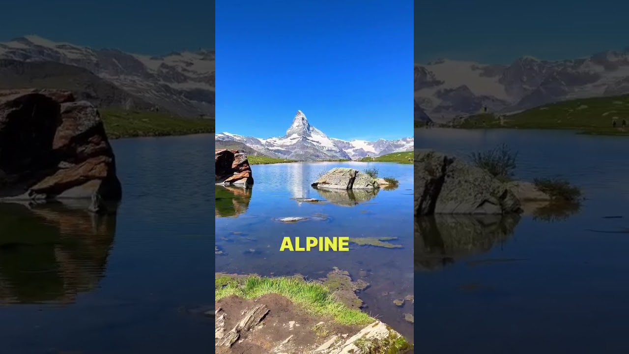 YouTube Short thumbnail