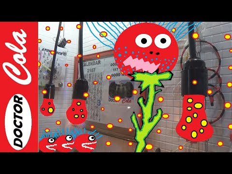 Coca Cola Inflates Tomato - DIY Coca Cola Tomato Yeast - Handmade Funny Experiment Coca Cola New Art Video