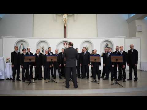 Foto V�deo - Ainda existe um lugar - Coro Masculino Stadtplatz