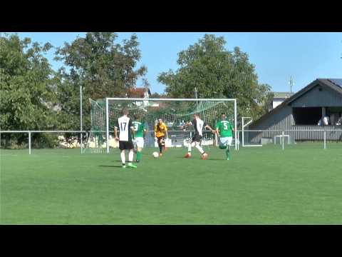 TSV Reichartshausen - FV Elsenz 30.08.2015