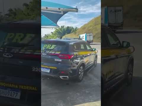 PRF resgata aves silvestres transportadas irregularmente BR-381, em Perdões-MG!