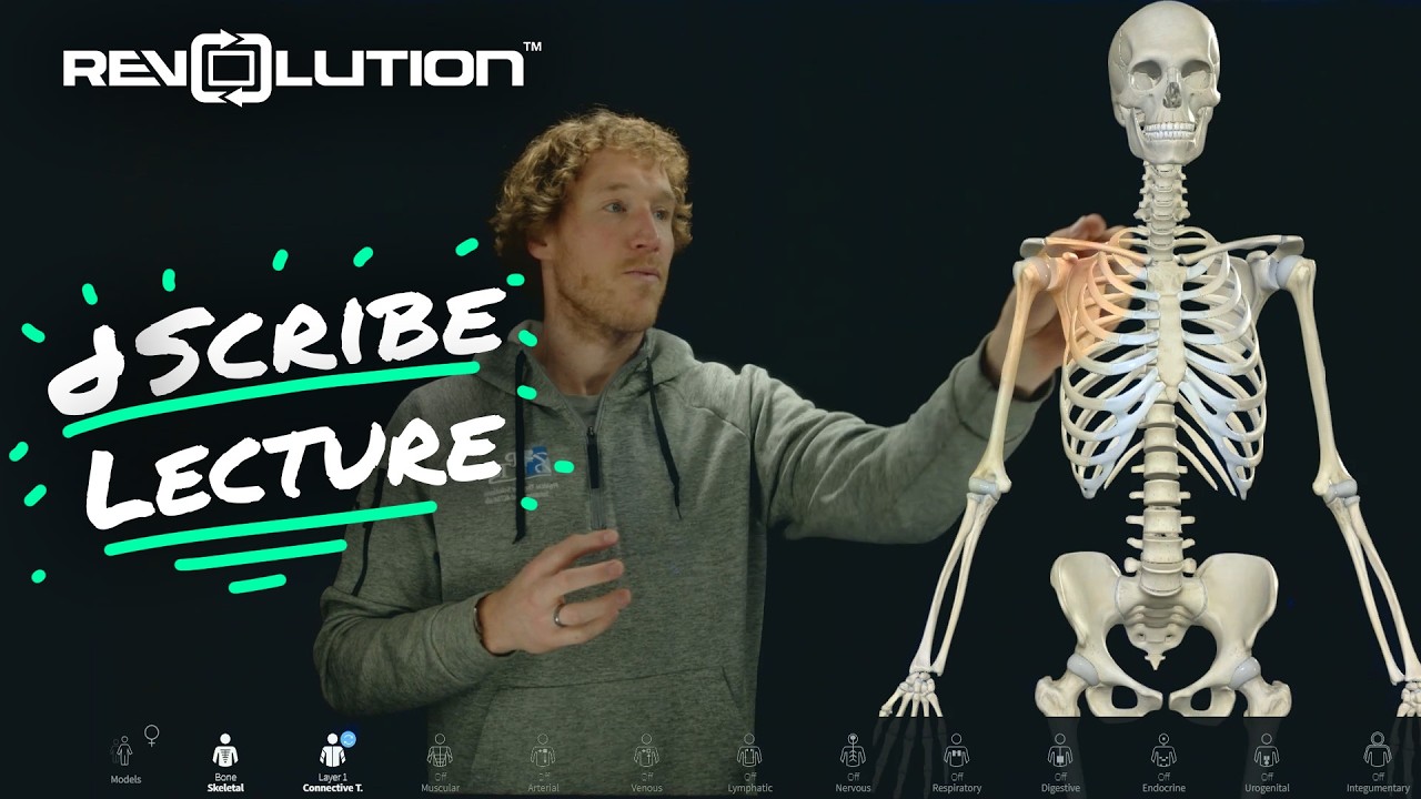 dScribe Studio example