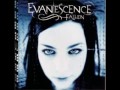 Evanescence - Wake me up inside [HQ]