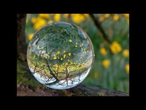 De volta pro futuro video