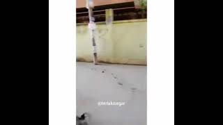 Download lagu STORY WA [ MEME 30 DETIK ] video lucu mp3
