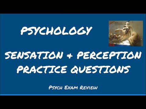 Psychology Review Questions - Sensation & Perception