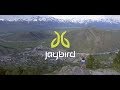 This is Why I Run - Meredith Edwards - Jaybird