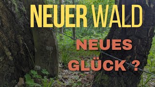 Auf Schatzsuche mit dem Metalldetektor - neuer Wald neues Glück?
