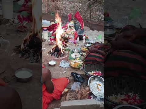 Chanting and Singing during Puja: A Spiritual Experience" "Divine Blessings During🌺