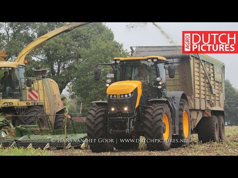 Maishäckseln 2017 | JCB Fastrac 8330 | Krone Big X 850 | LU Deeters, Lingen | Mais hakselen | Maize