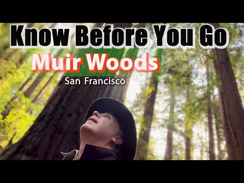 Muir Woods San Francisco.  WORTH it?  Visiting Muir Woods National Monument Park...#muirwoods