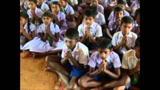 War Child / White Lion