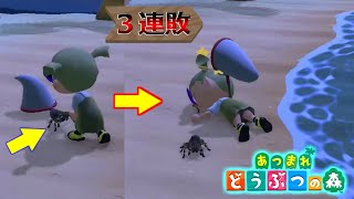 【あつ森】シフォンのどうぶつの森-Day３(3日目)竹島でタランチュラに３デスする男【生配信】