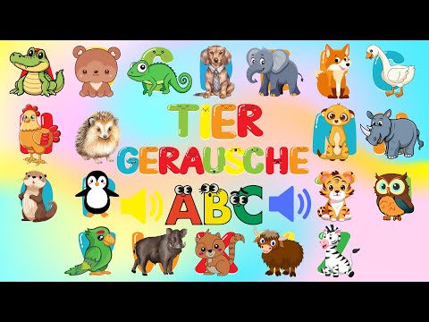 Das Tier-ABC Kinderlied  🐊🐻🐓 | Deutsches Tiergeräusche Lied für Kinder | Tiere & Laute lernen 🎶