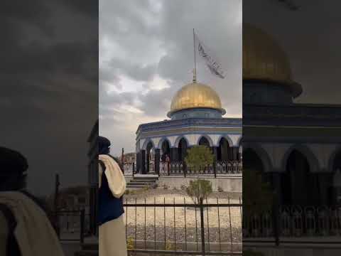 #palestine #azan #allahuakbar #mujahid #story story of Palestine #viralvideo #viralreels #shotsvideo