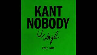 Musik-Video-Miniaturansicht zu Kant Nobody Songtext von Lil Wayne