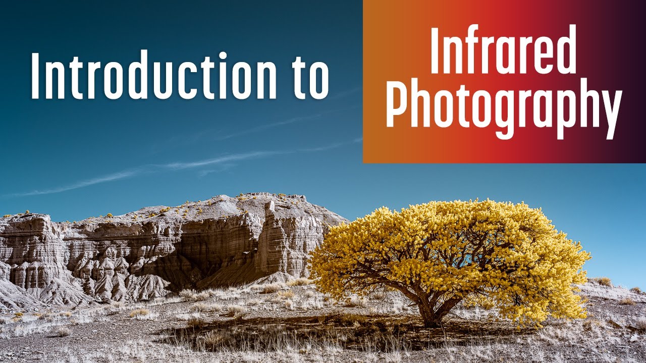Introduction to Infrared Photography (2022)