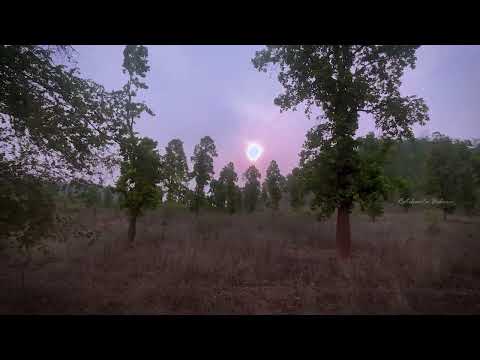 Aa Janha Re Lekhiba Naa || Aseema - Kuldeep