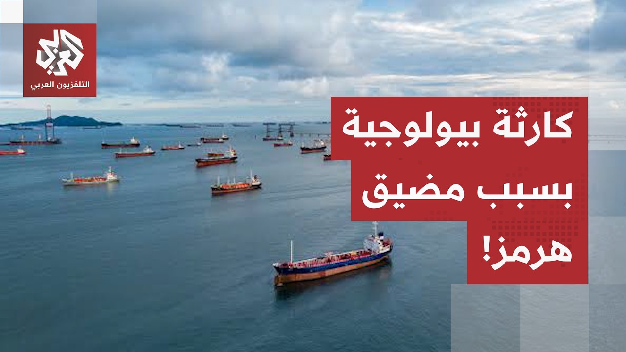كارثة بيئية قبالة عُمان جراء تسرب نفطي من ناقلة روسية.. وعلماء يحذرون من غزو ب