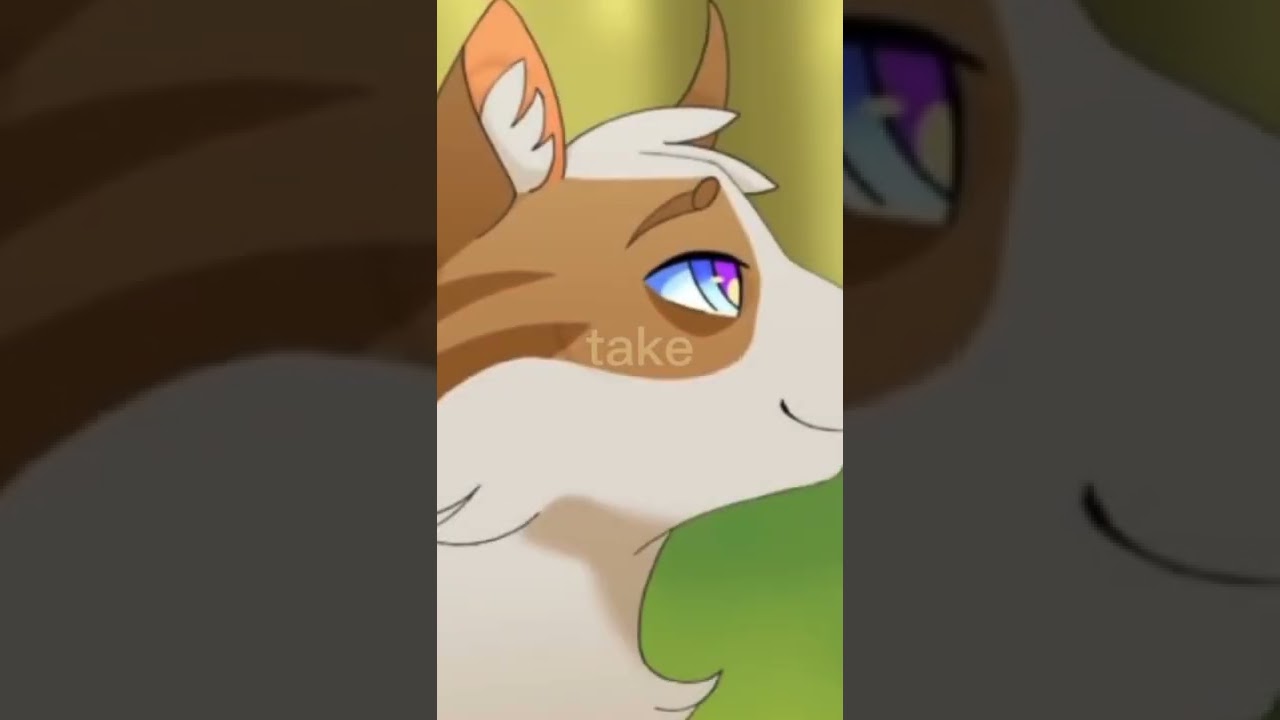 longtail, brightheart, briarlight // warrior cats