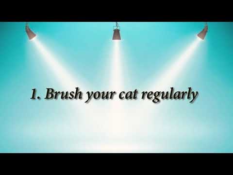 Cat's hair fall solutions | 5 ways to reduce cat's hair fall |